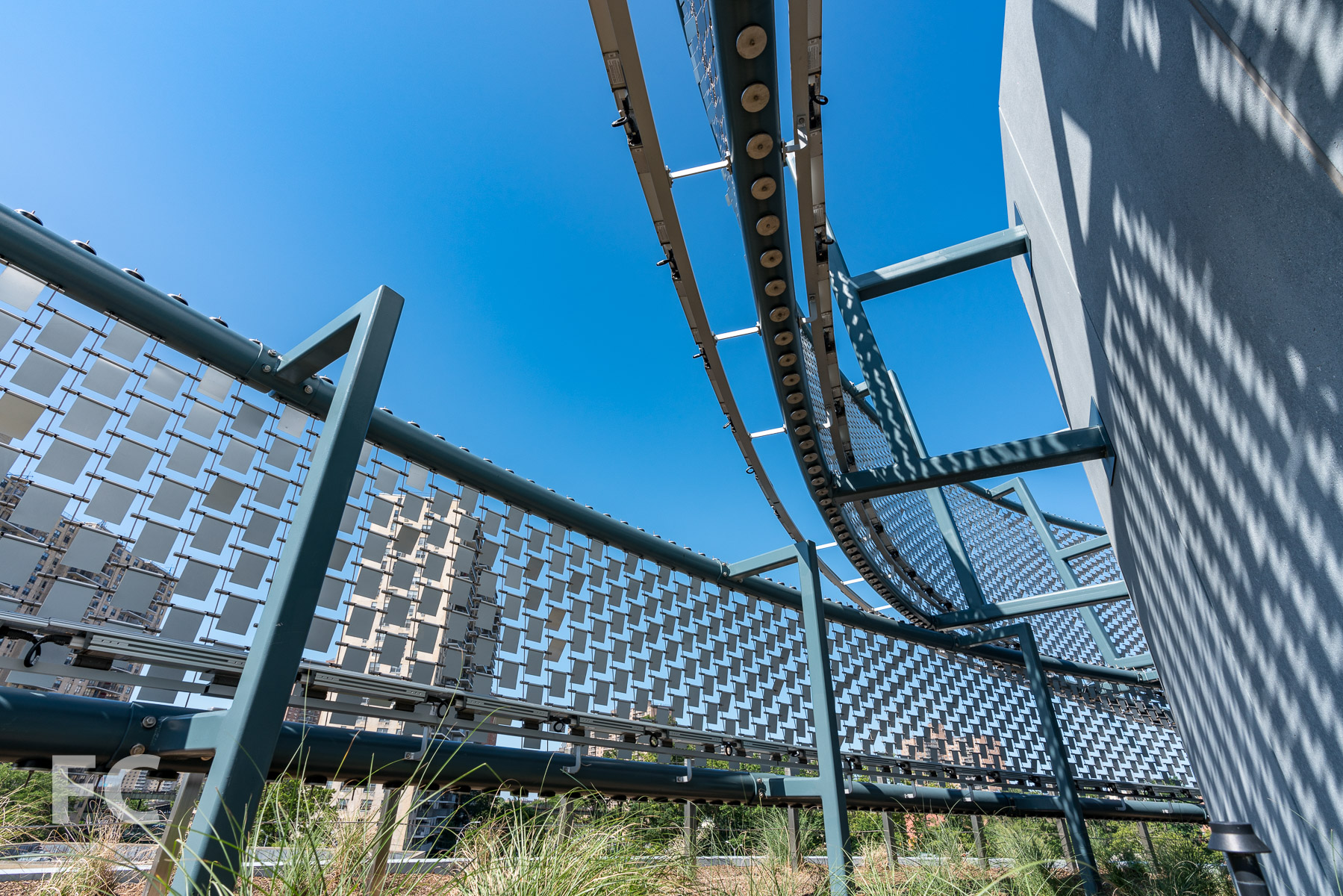 Tour: New York Aquarium — FIELD CONDITION-10