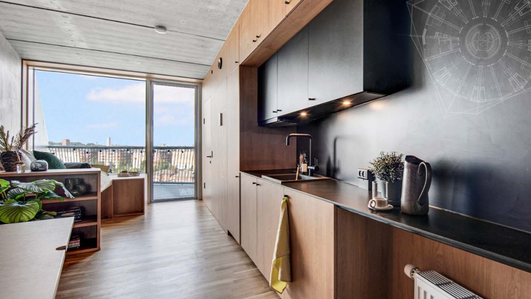 哥本哈根「仙人掌」公寓丨丹麦哥本哈根丨BjarkeIngelsGroup-25