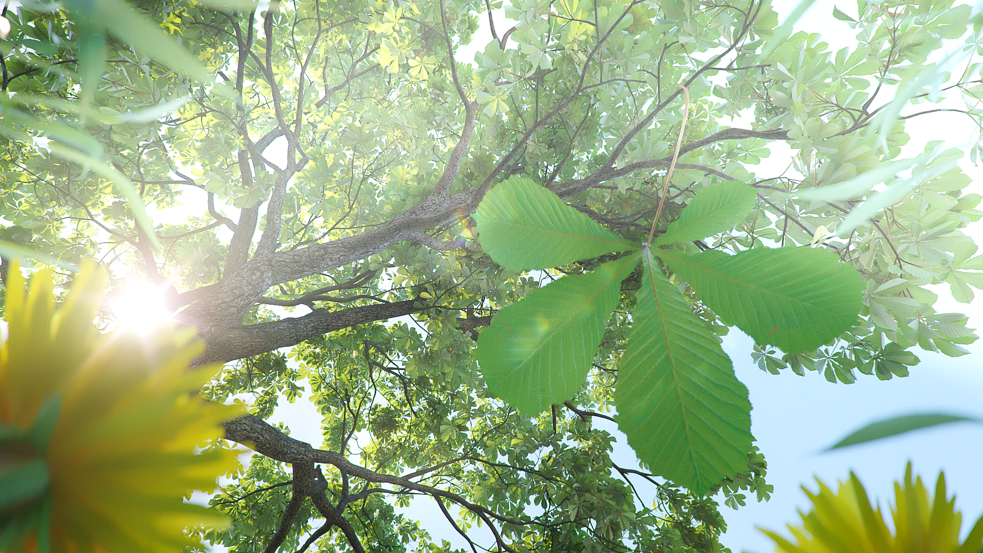 文化广场 板栗喷泉丨UkraineKyiv-5