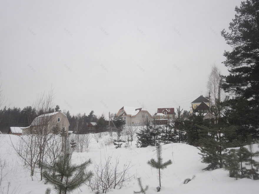 郊区房屋美化与绿化项目-8