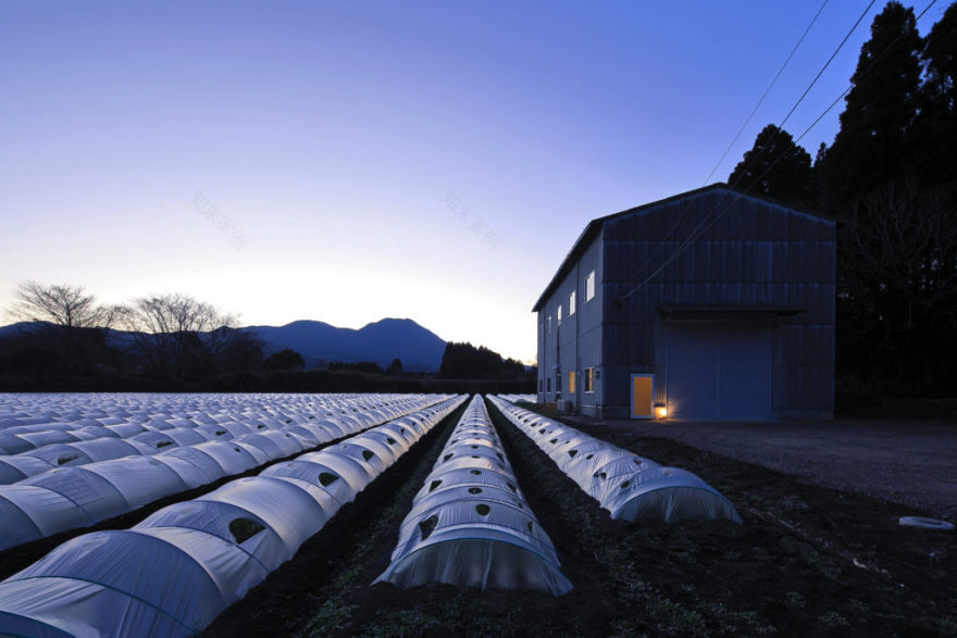 丨日本宫崎丨有限会社COGITE-43