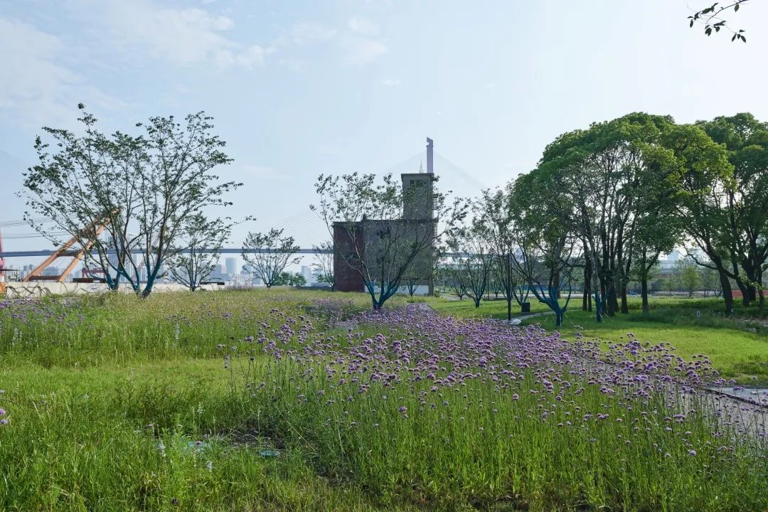 杨树浦六厂滨江公共空间更新·电站辅机厂东厂丨中国上海丨刘宇扬建筑事务所-188