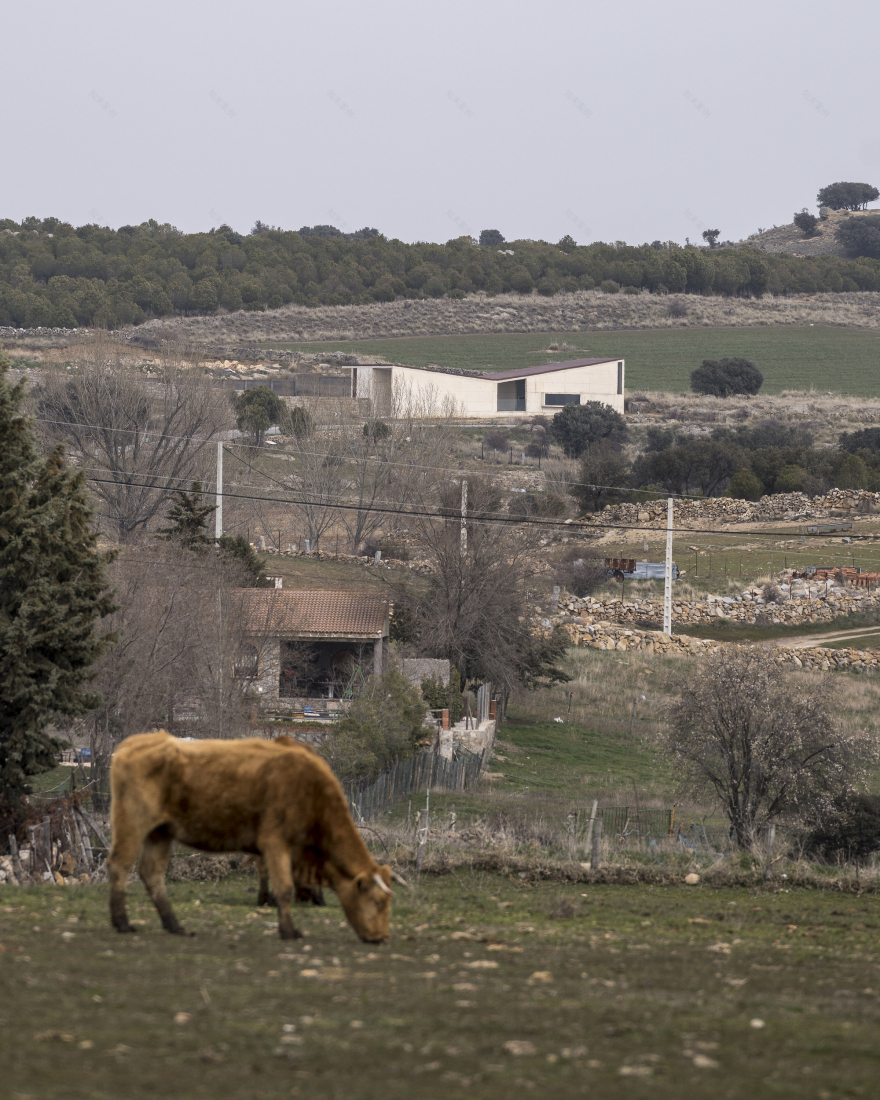 拉科利利亚市公墓丨西班牙-34