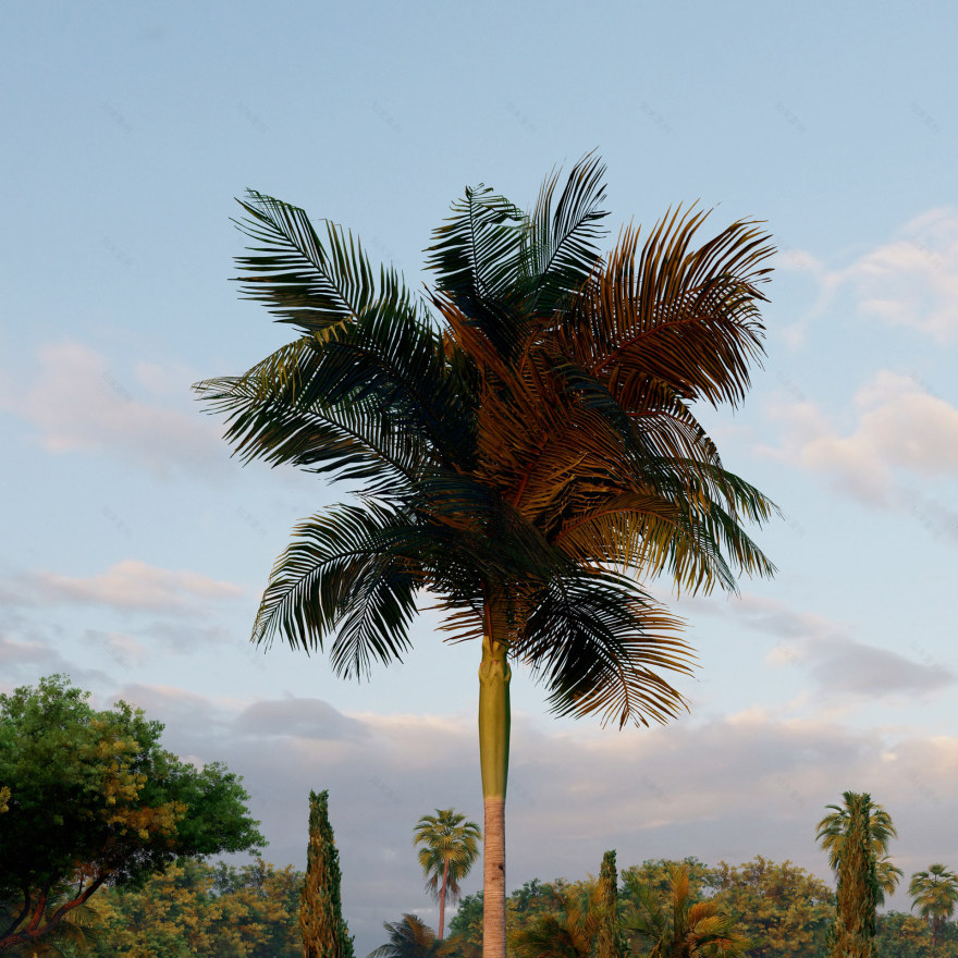 斐波那契螺旋屋-12