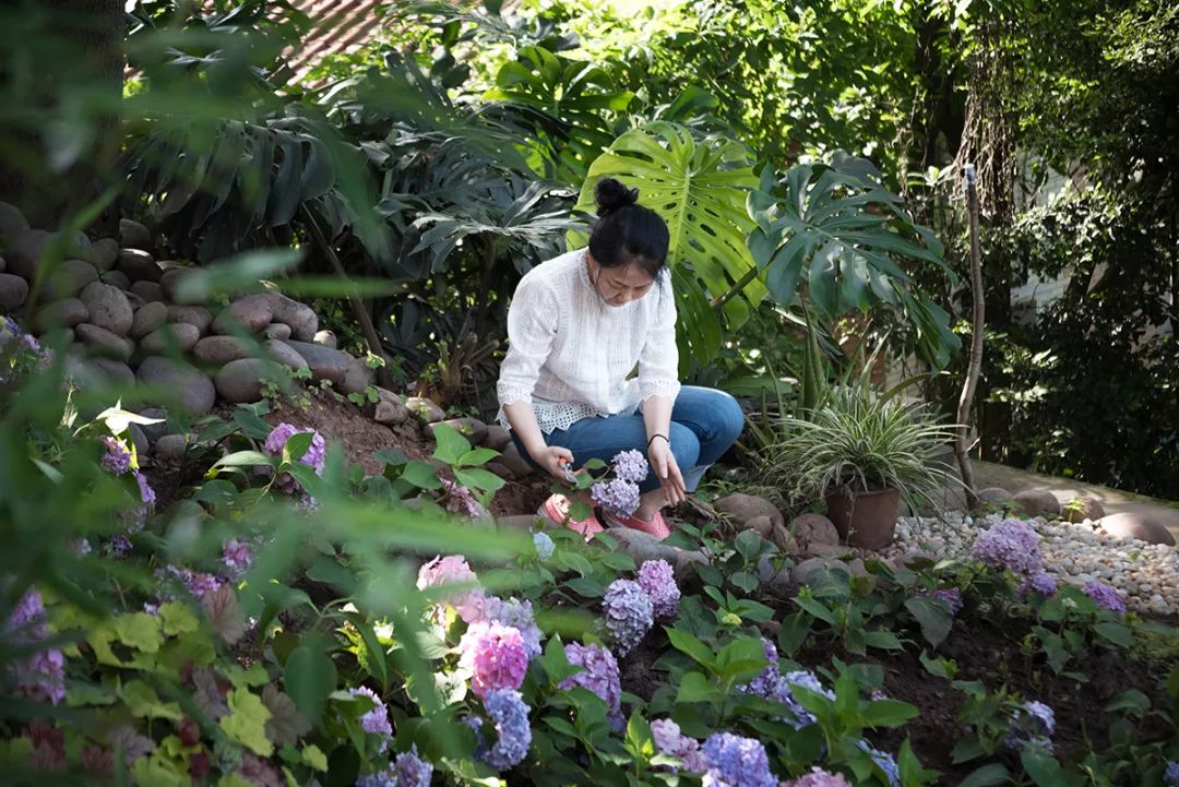 旧别墅新生活 | 南山瞰景,色彩斑斓的改造设计-15