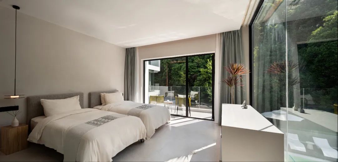 莫干山秘境杉林,尽享自然之美-100