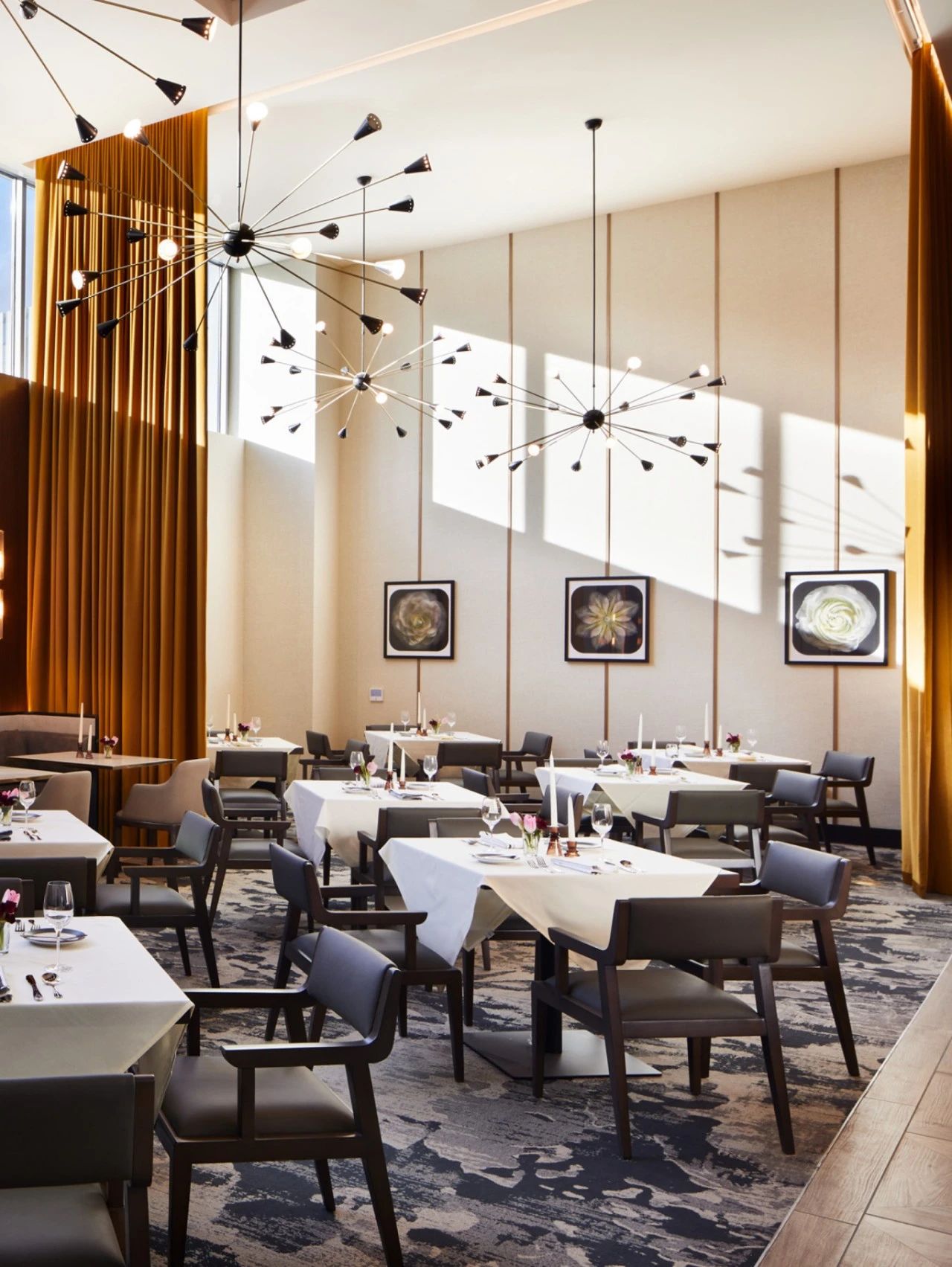 HBA国际高端康养案例｜以现代雅奢风尚滋养长者岁月时光-7