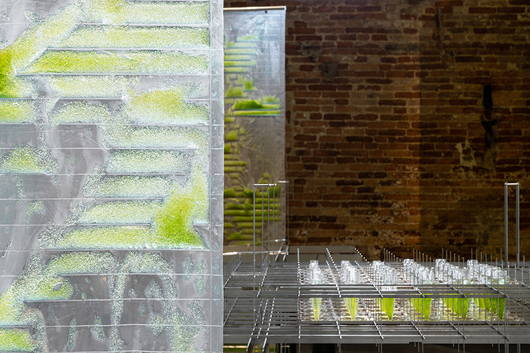 威尼斯建筑双年展上的藻类装置设计-11