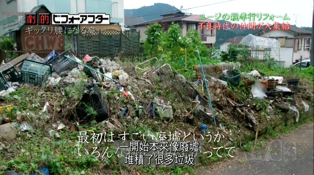 废墟庭院,漏水露台花园改造丨日本大阪丨金井良一-14