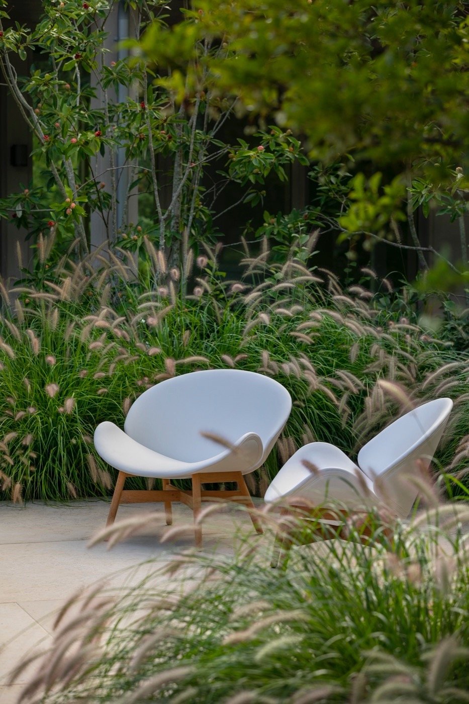 美国佩科尼克湾的 8 英亩地块景观-37