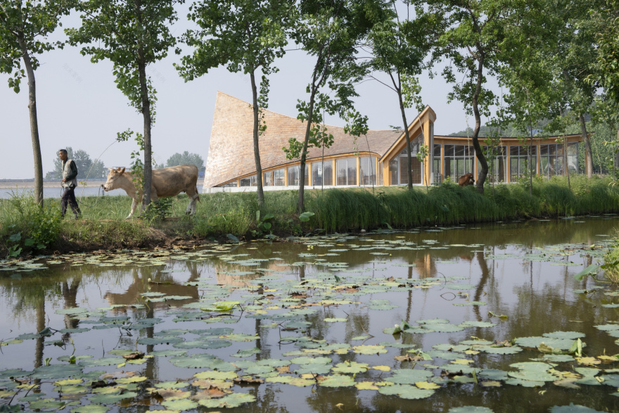 丨中国信阳丨Primary Architects-15