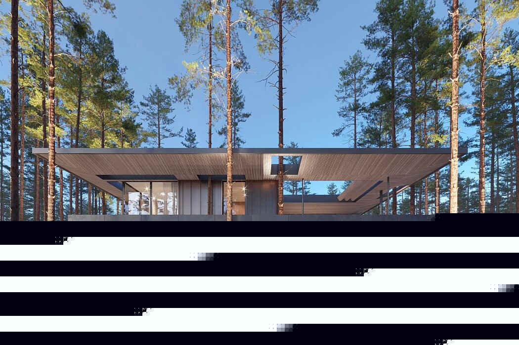 俄罗斯 Repino 别墅丨Kerimov Architects-14