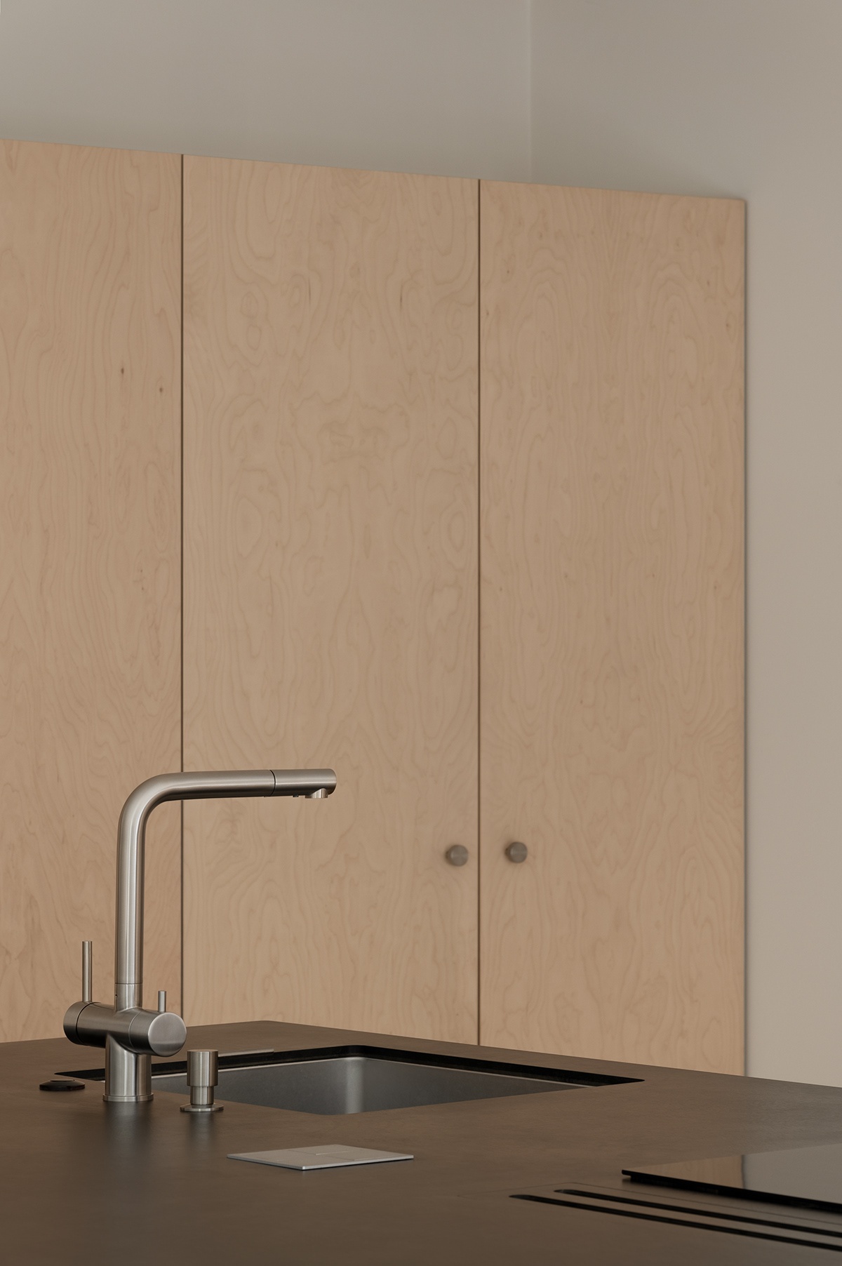 乌克兰狐狸之家丨Yara Lysiuk-12