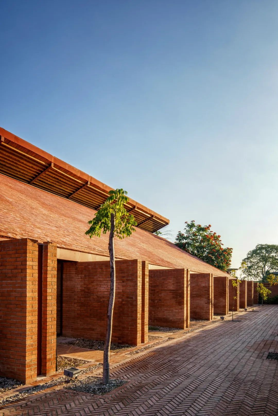 马塔莫罗斯市场丨墨西哥马塔莫罗斯丨Gabriela Carrillo-50