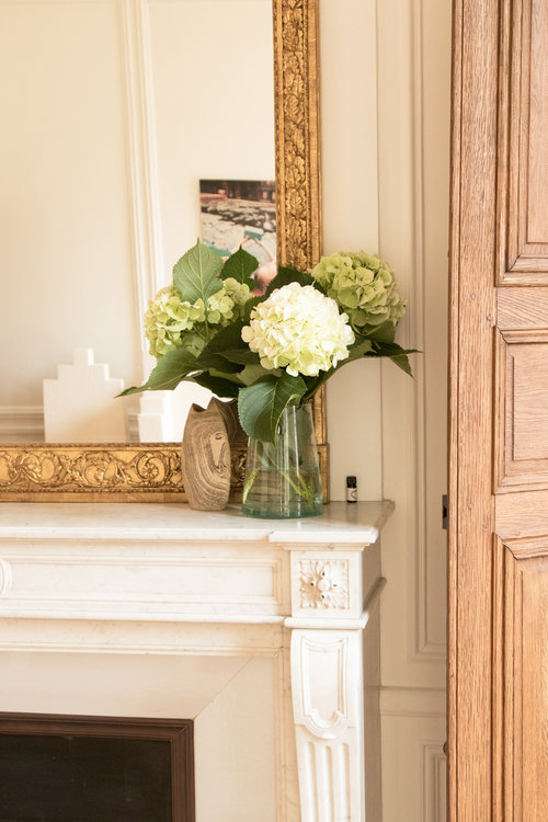 Paris Apartment Tamsin Johnson-7