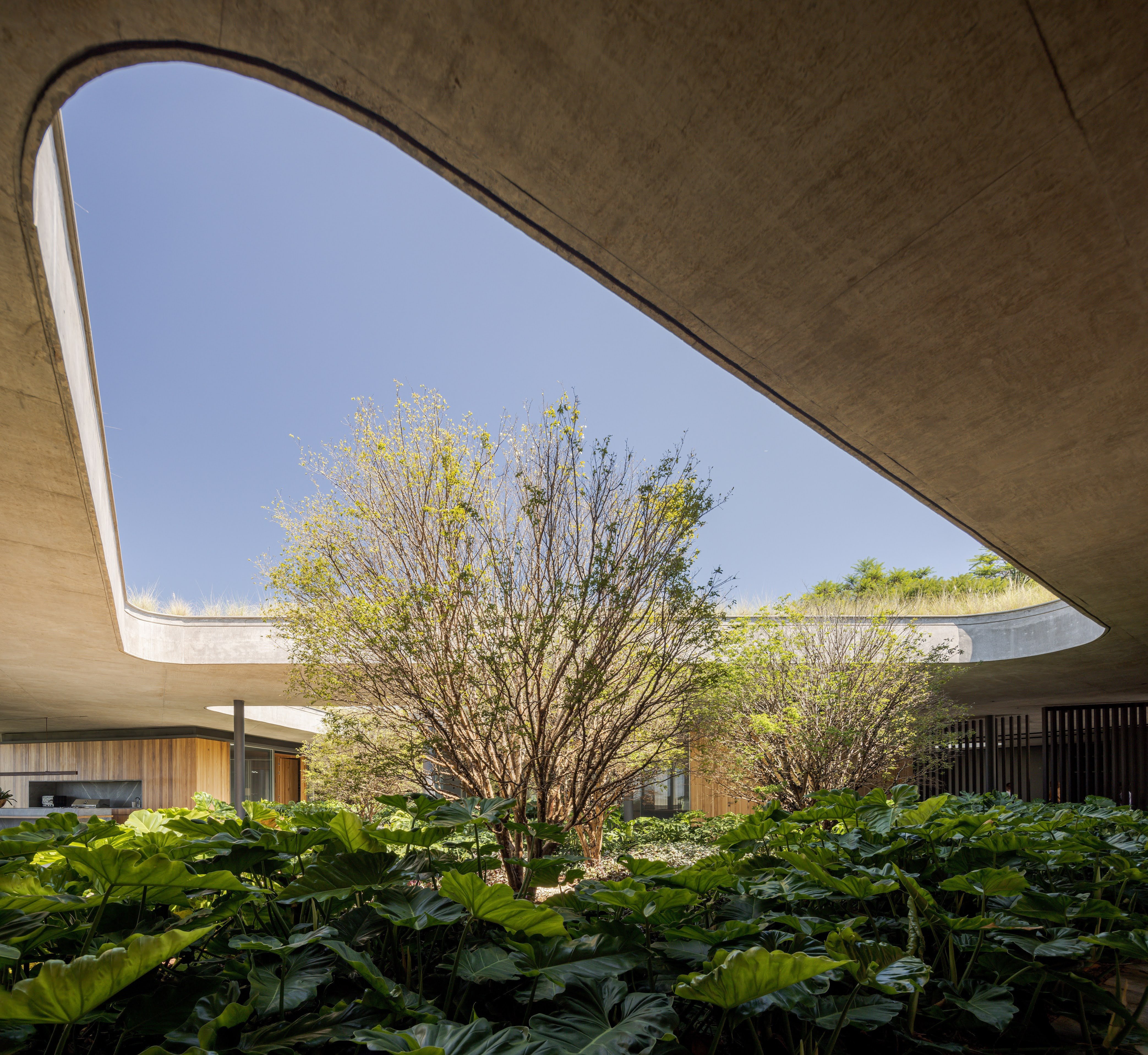 Gak 别墅丨巴西丨Bernardes Arquitetura-12