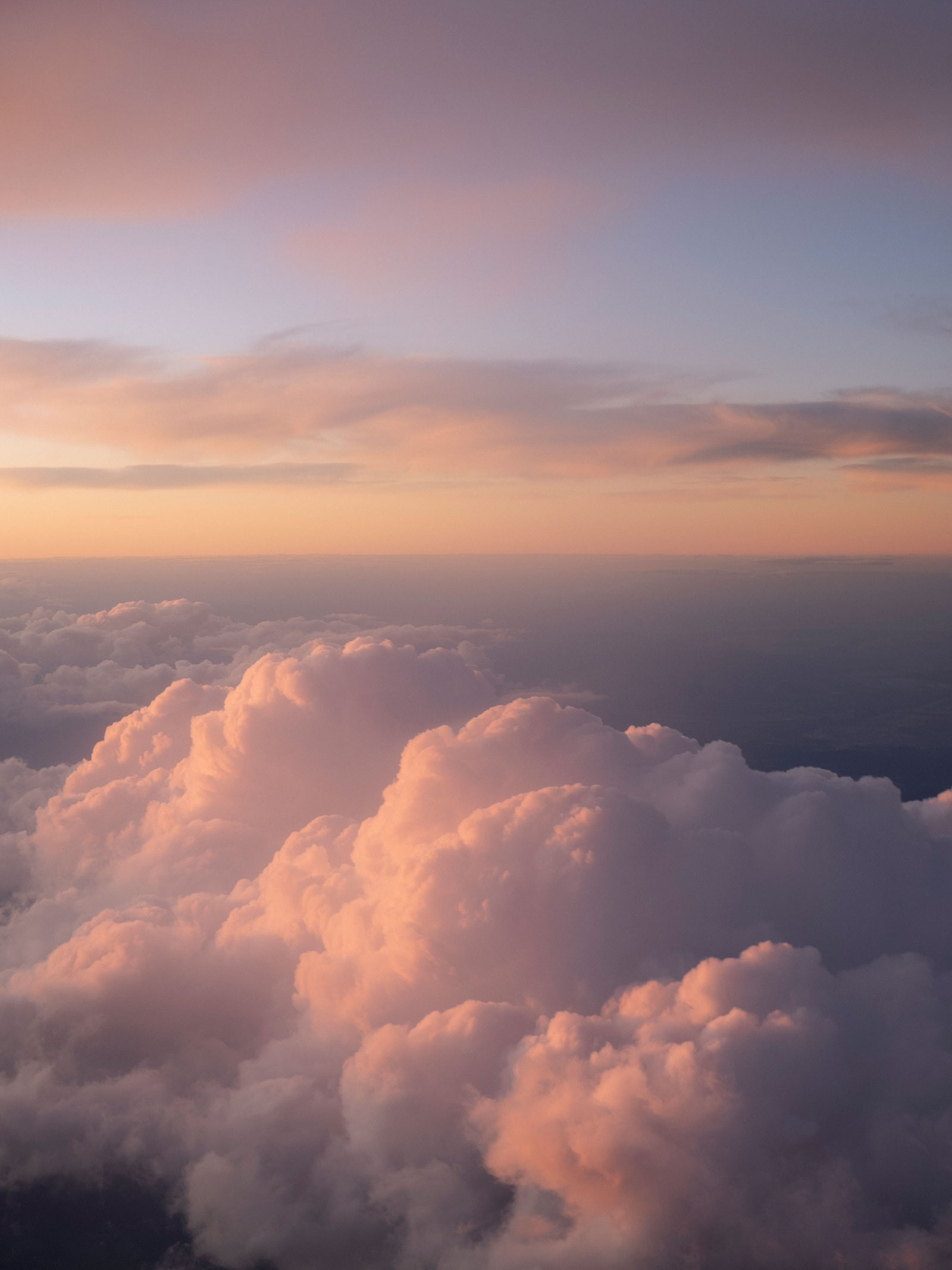 阿米代尔之家丨澳大利亚丨Richards Stanisich-23