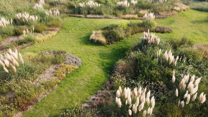 多岛海野草公园丨中国日照丨孔祥伟工作室-111