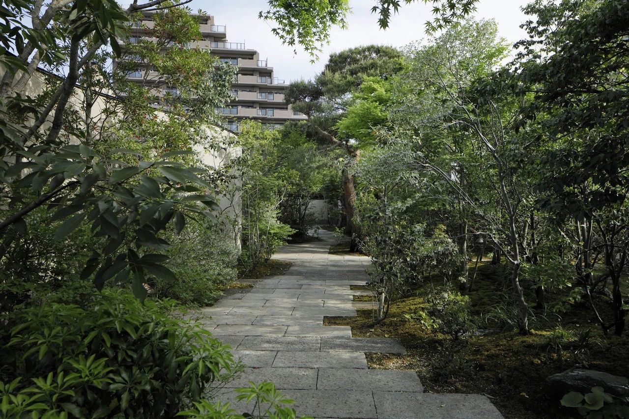 托基托旅馆丨日本东京丨绪方慎一郎,Shinichiro Ogata-16