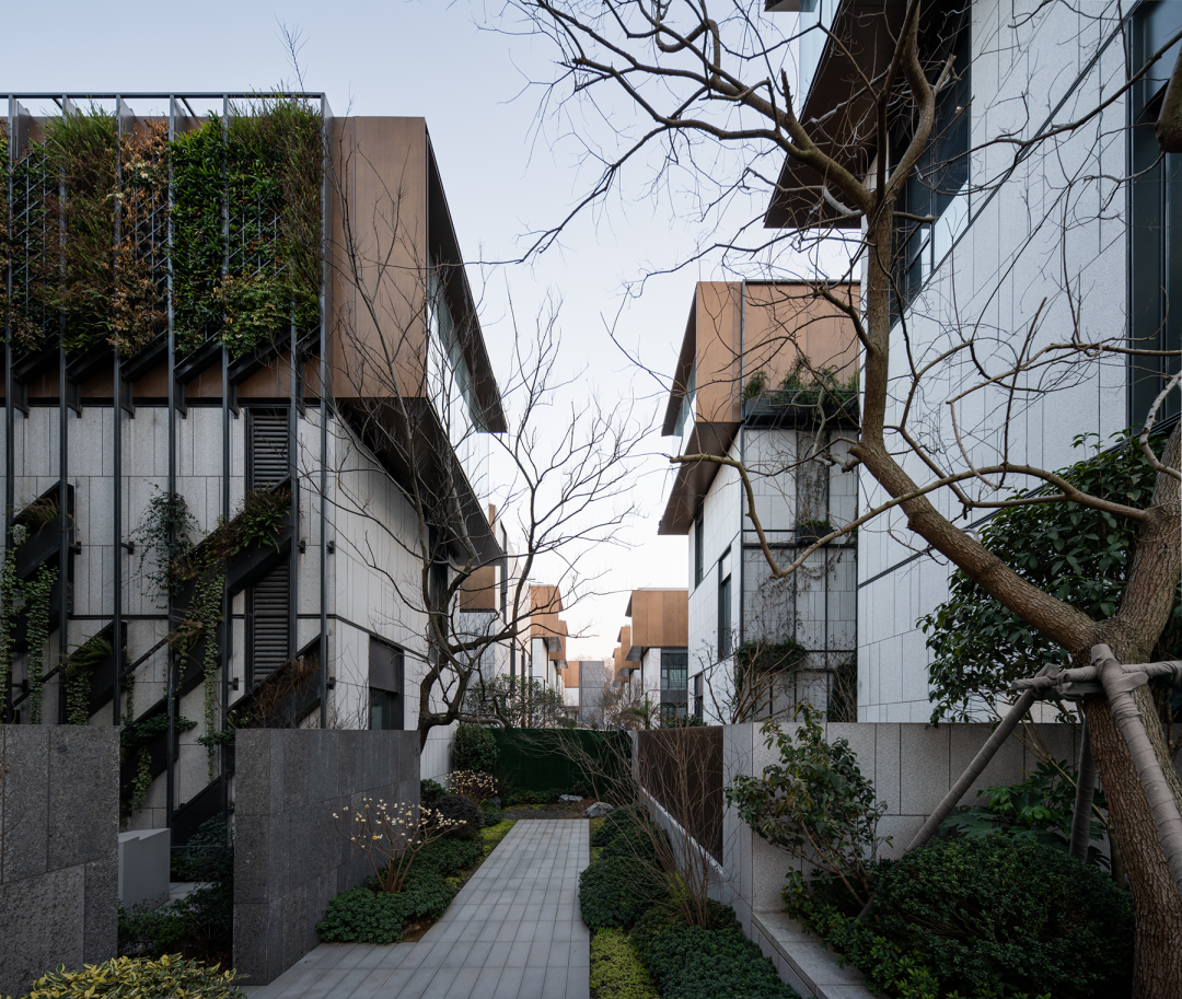 新作 极限容量下的院落空间实验 ：杭丨中国杭州丨孟凡浩-line+-36