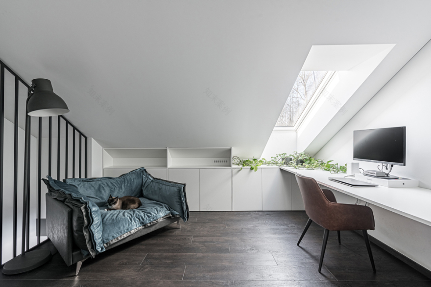 自然植物墙装饰的室内设计项目丨“室内工作室”(“Interjero lizdas”)-17