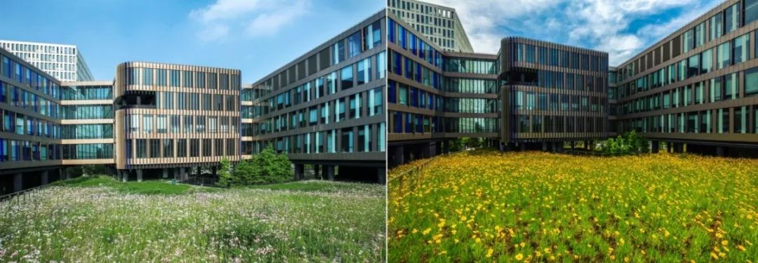 华鑫天地一期 | 建筑与景观的生态融合-46