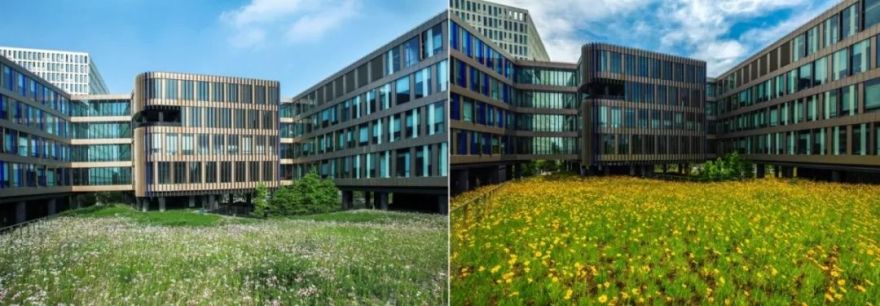 华鑫天地一期 | 建筑与景观的生态融合-46