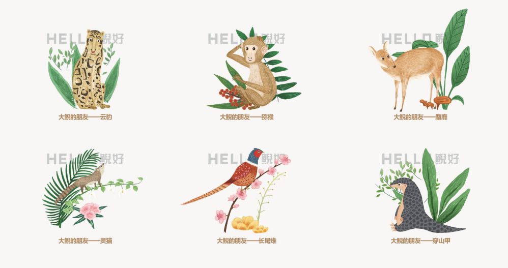 三亿五千年恩赐，鲵好品牌空间解读-8