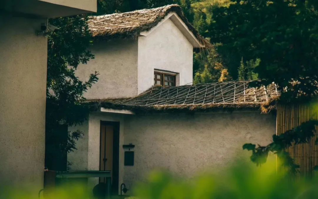 孙姣 | 自然无为,空间秩序的唤醒力量-34