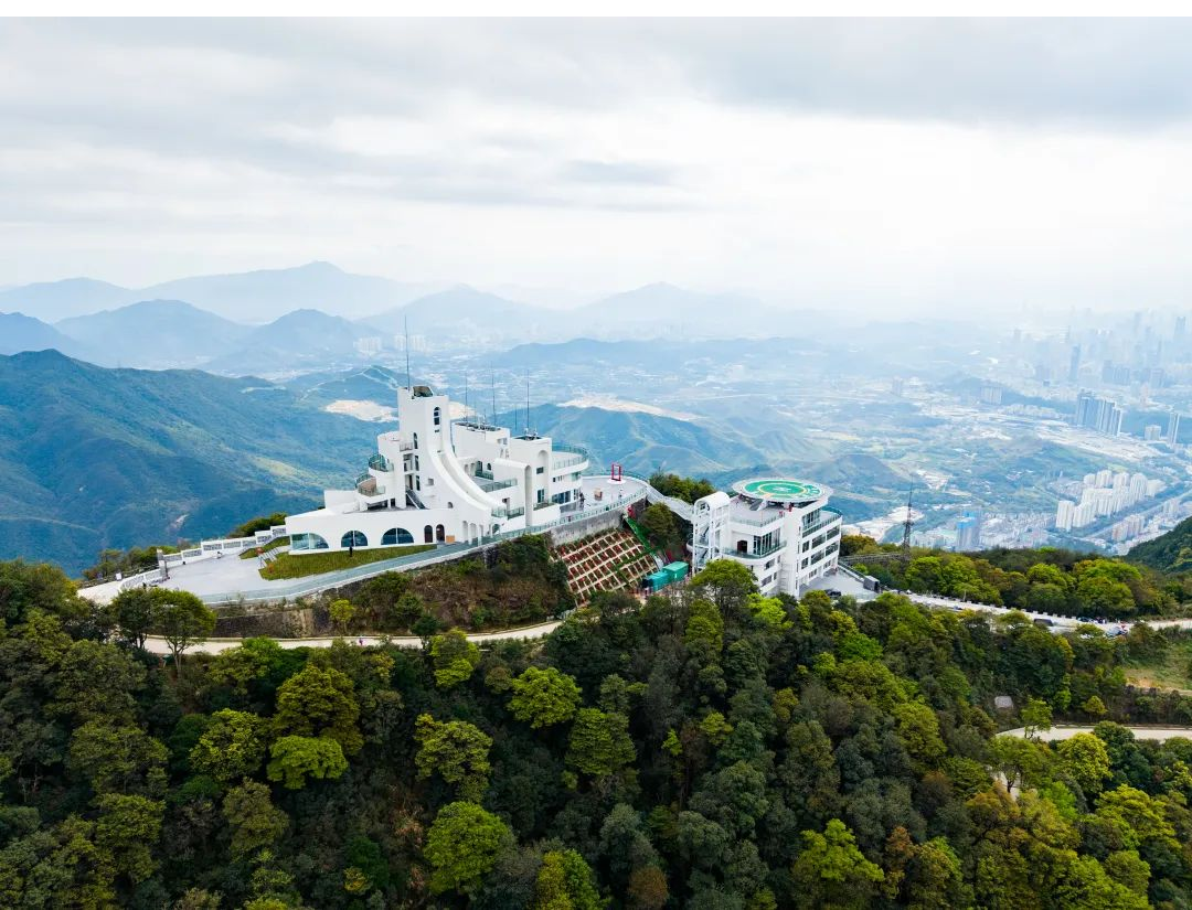 三十正青春奋进向未来｜广田集团以旧改之笔，绘就梧桐阁城市更新画卷-1