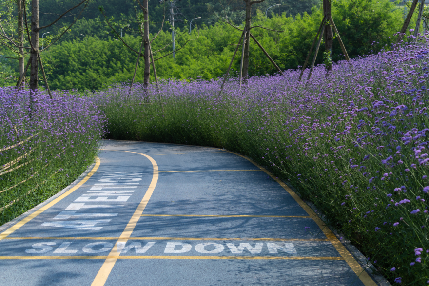 重庆华侨城滨江休闲带丨中国重庆丨WTD纬图设计-64