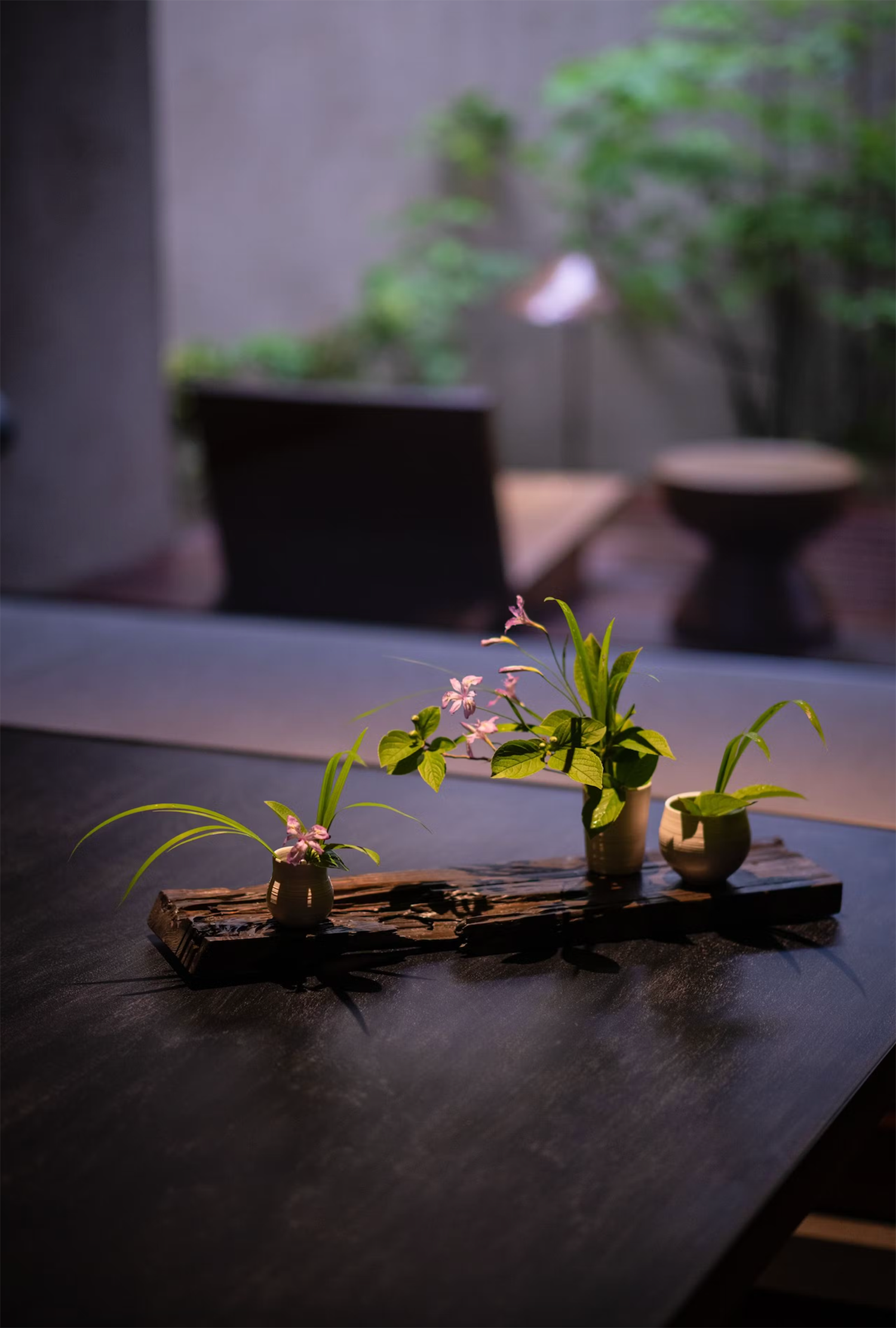 托基托旅馆丨日本东京丨绪方慎一郎,Shinichiro Ogata-82