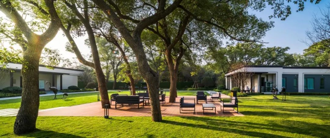 南昌融创雪个庭示范区 | 香樟林中的诗意栖息-78