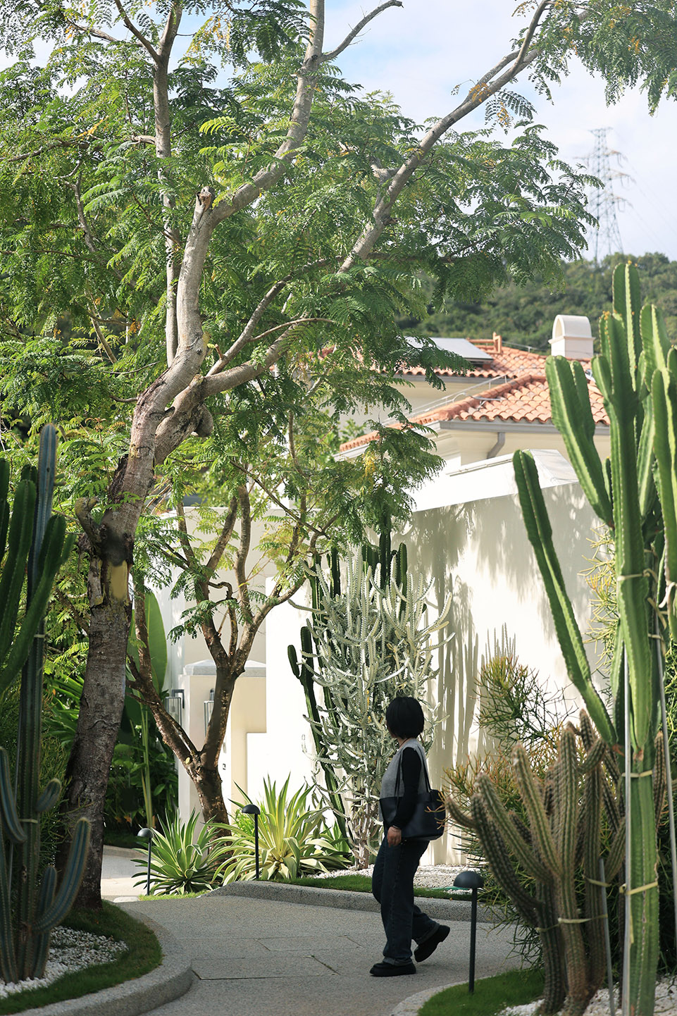 阿那亚三亚南花园丨中国三亚丨Z’scape致舍景观-179