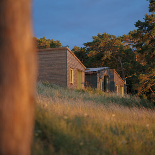 丨瑞典哥得兰丨Tengbom-31