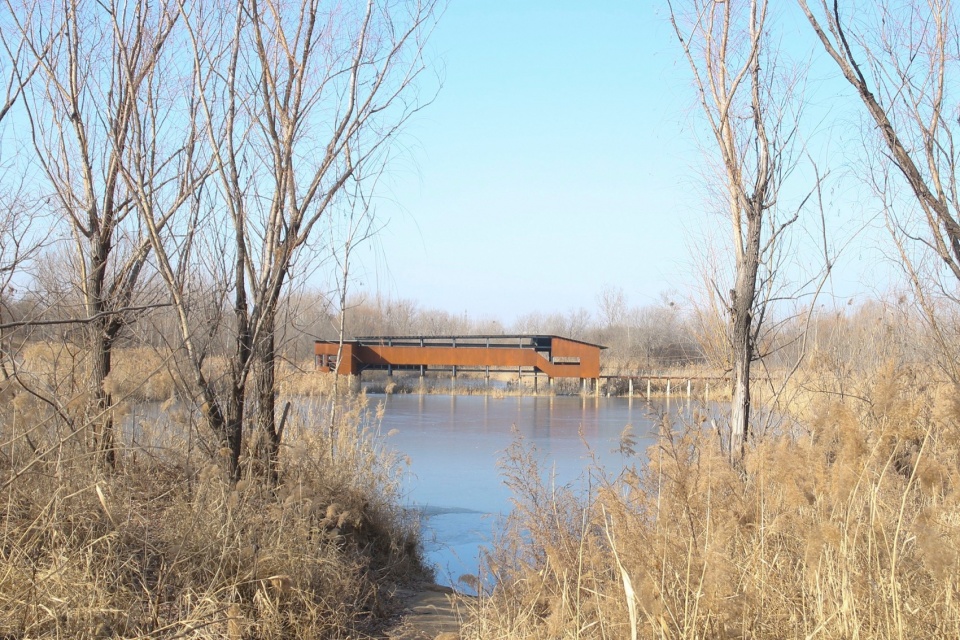 芦苇廊,观鸟屋等·邢襄生态园景观建筑系列丨中国河北丨北林风景建筑研究中心  段威工作室,上海领沃园林设计事务所  李工作室-34