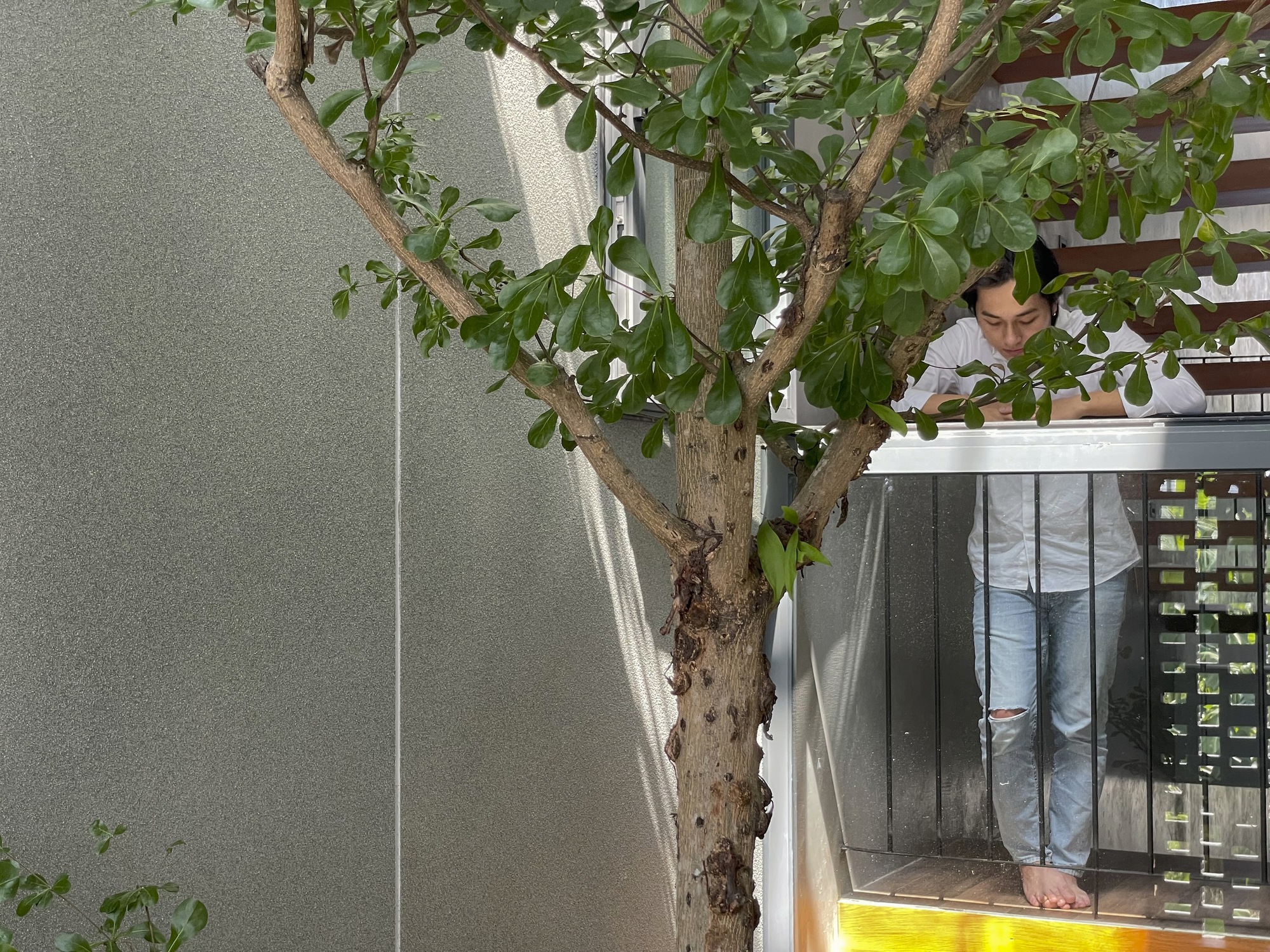 HY 之家丨越南丨TRAN TRUNG Architects-44