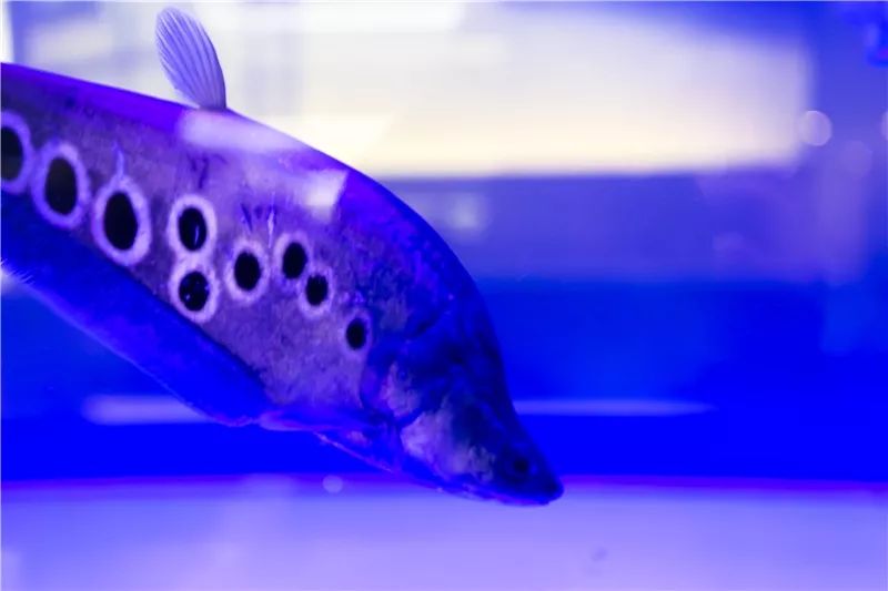 白色敬畏，现代办公空间的艺术探索-21