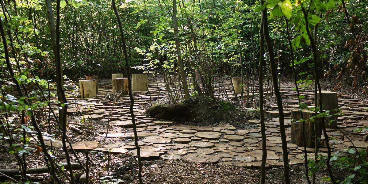 乌斯特市 Wildwood 自然林地广场 | 景观与功能的完美融合-5