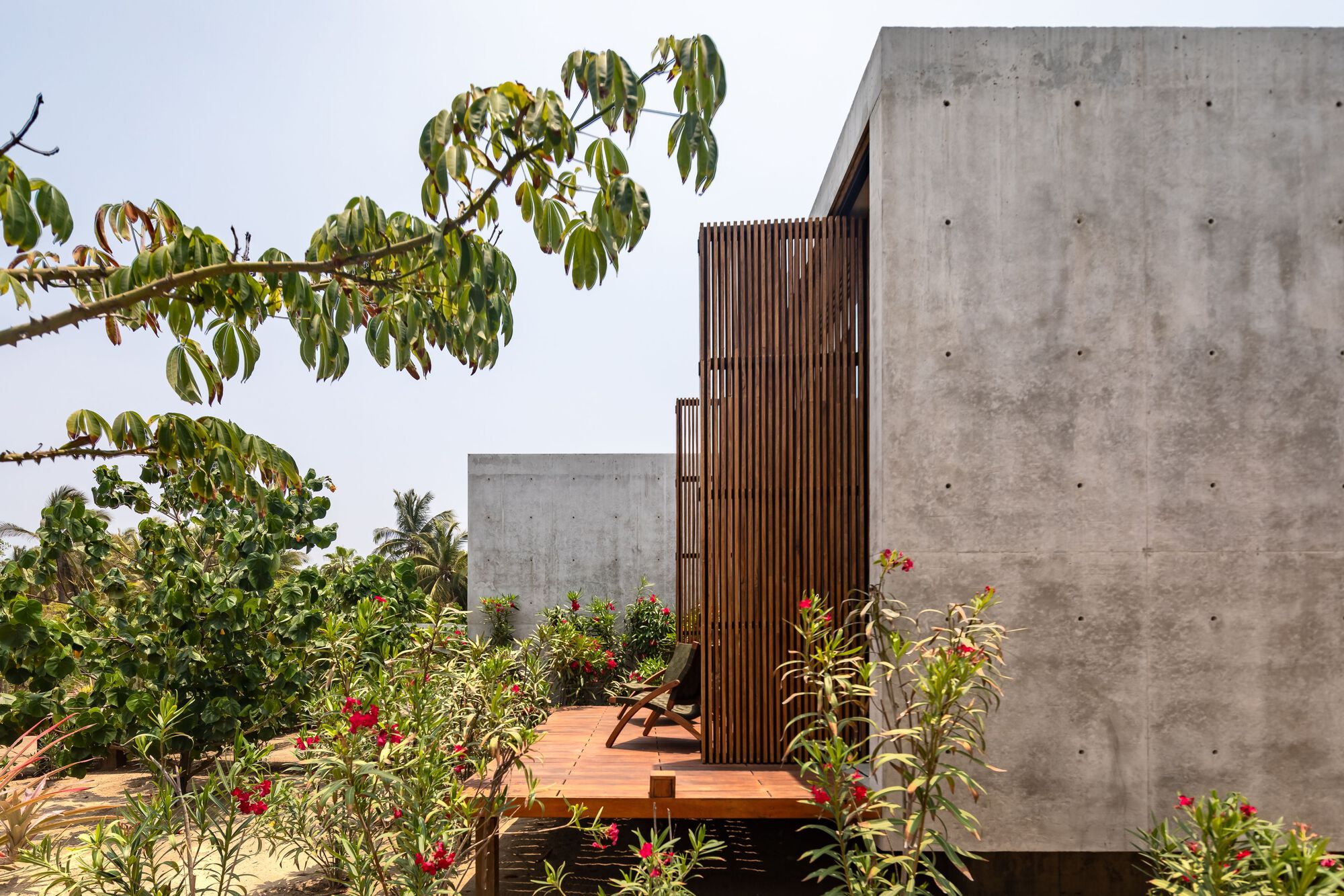 莱里亚之家丨墨西哥瓦哈卡丨TAC Taller Alberto Calleja-12