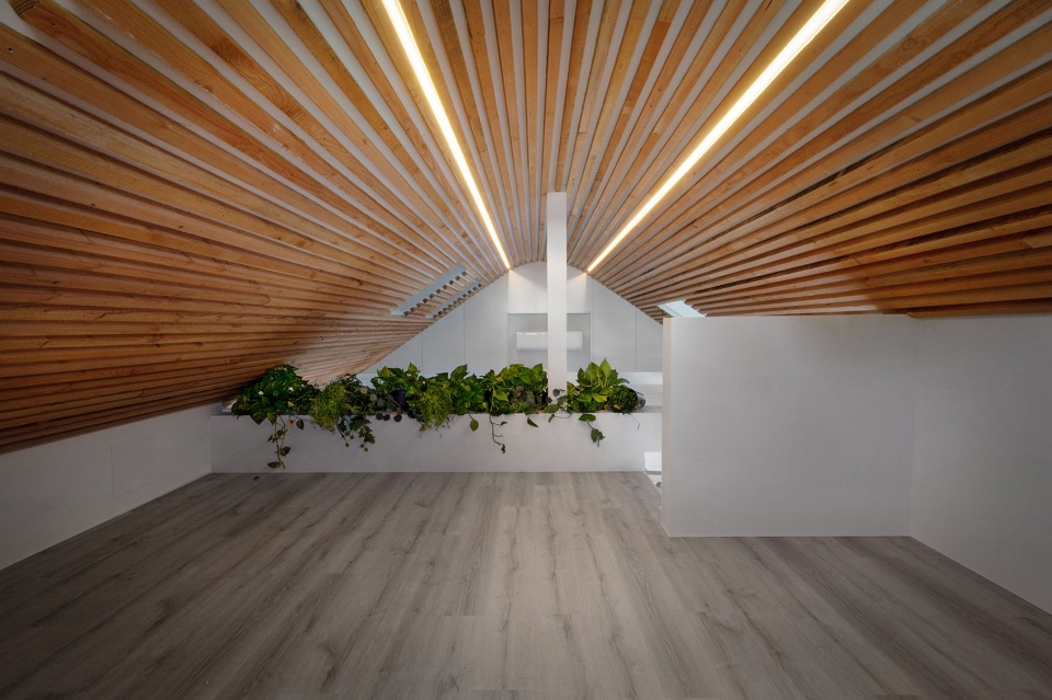 加州环保车库改造丨Modern Granny Flat-23