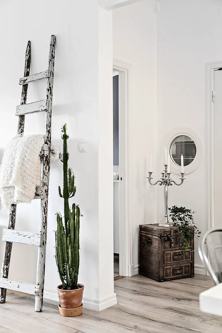 城市中的山居岁月-1