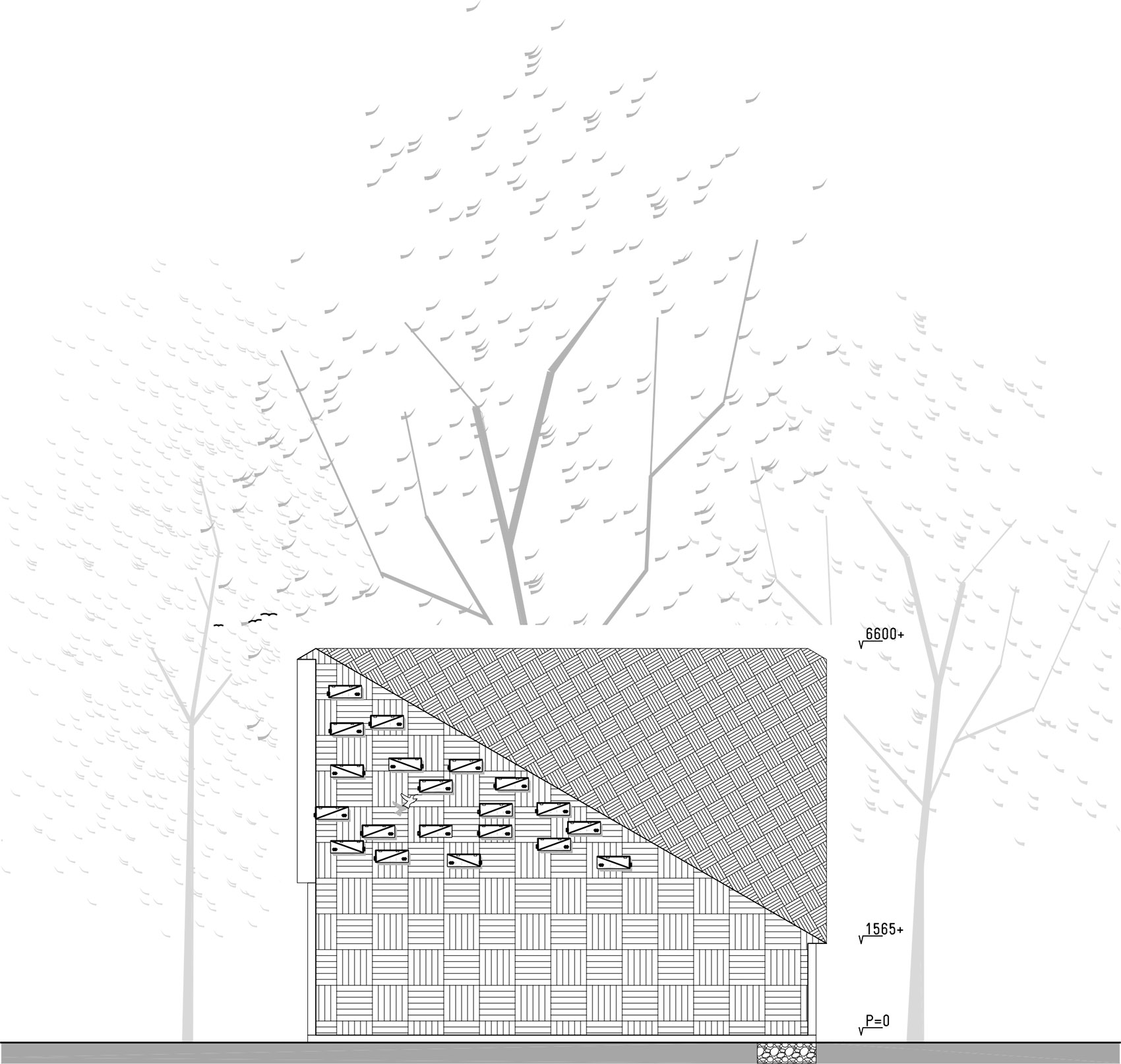阿姆斯特丹自然与环境教学中心,荷兰 / bureau SLA-64