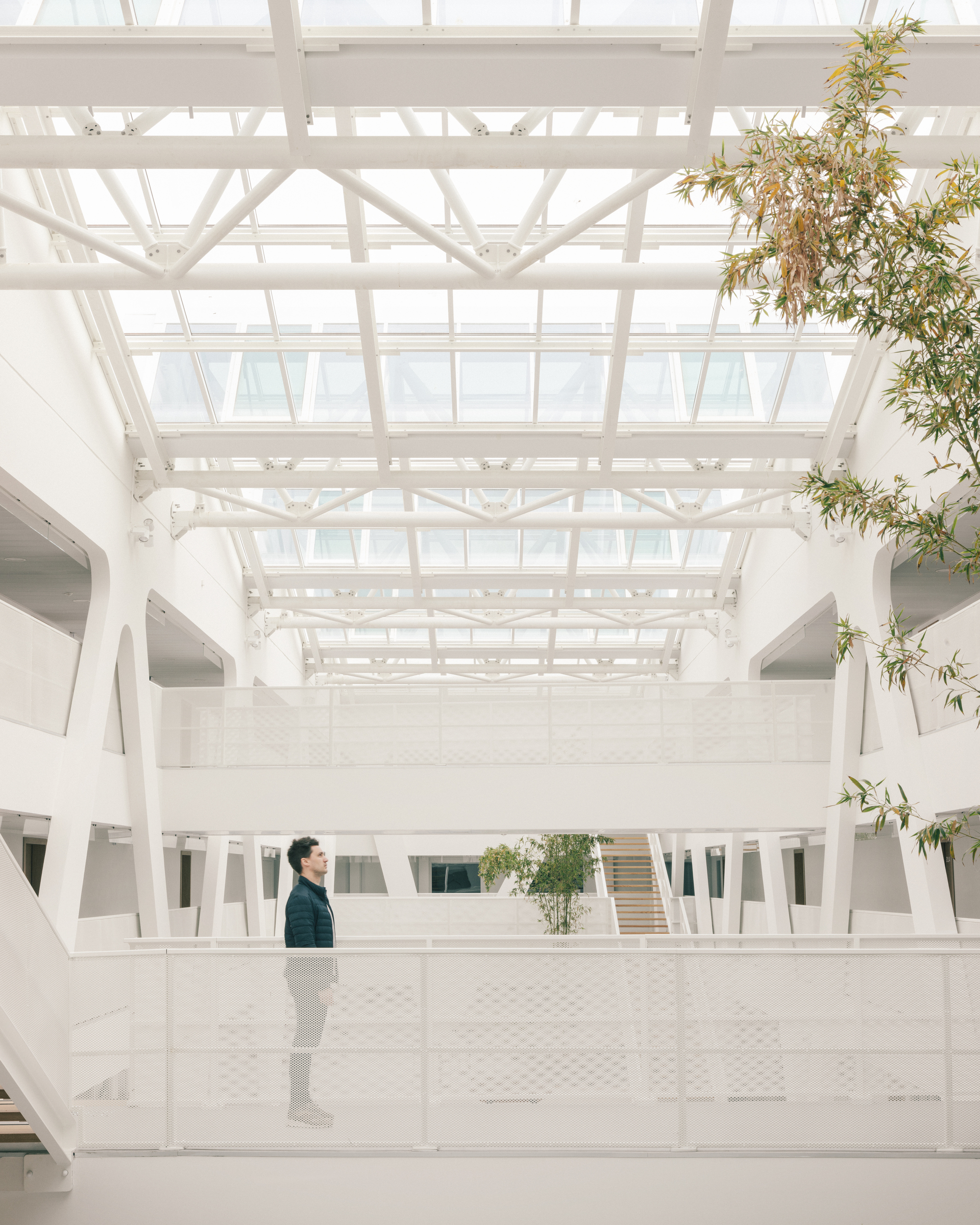 普罗维登斯高中，阿尔塔丨法国-28