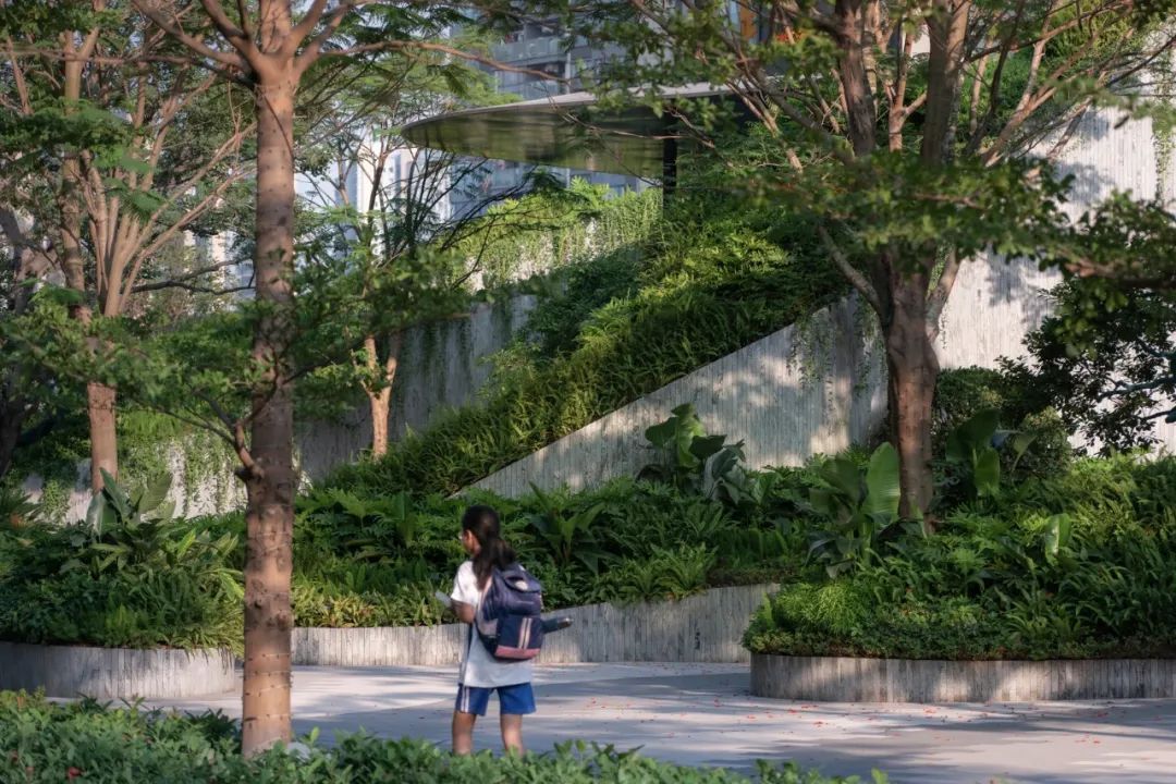 仁恒深圳公园世纪三期丨中国深圳丨TROP景观事务所-9