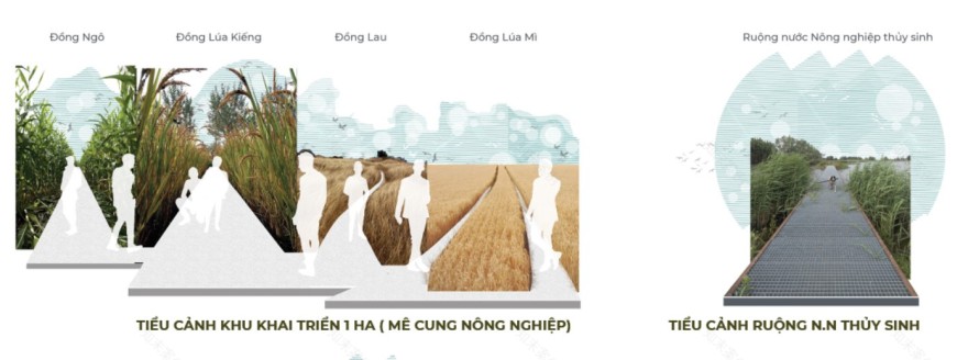 高科技农业园区丨越南胡志明市-12