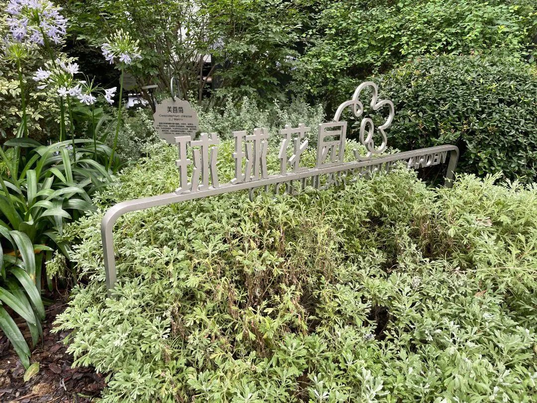 西里丨成都万华麓湖生态城·沄洲-14