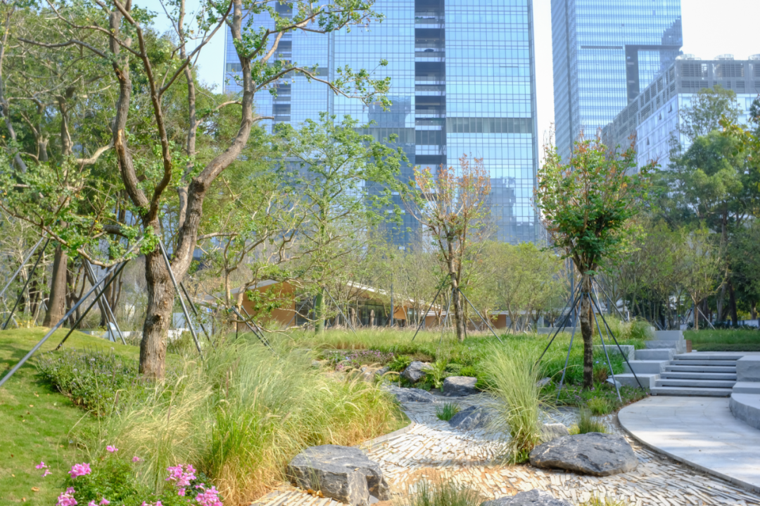 智见 · 云上 | 云之园 CLOUD PARK-161