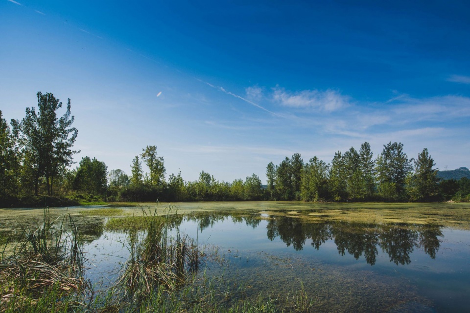 宜昌黄柏河湿地公园丨中国宜昌丨杭州园林设计院股份有限公司-112