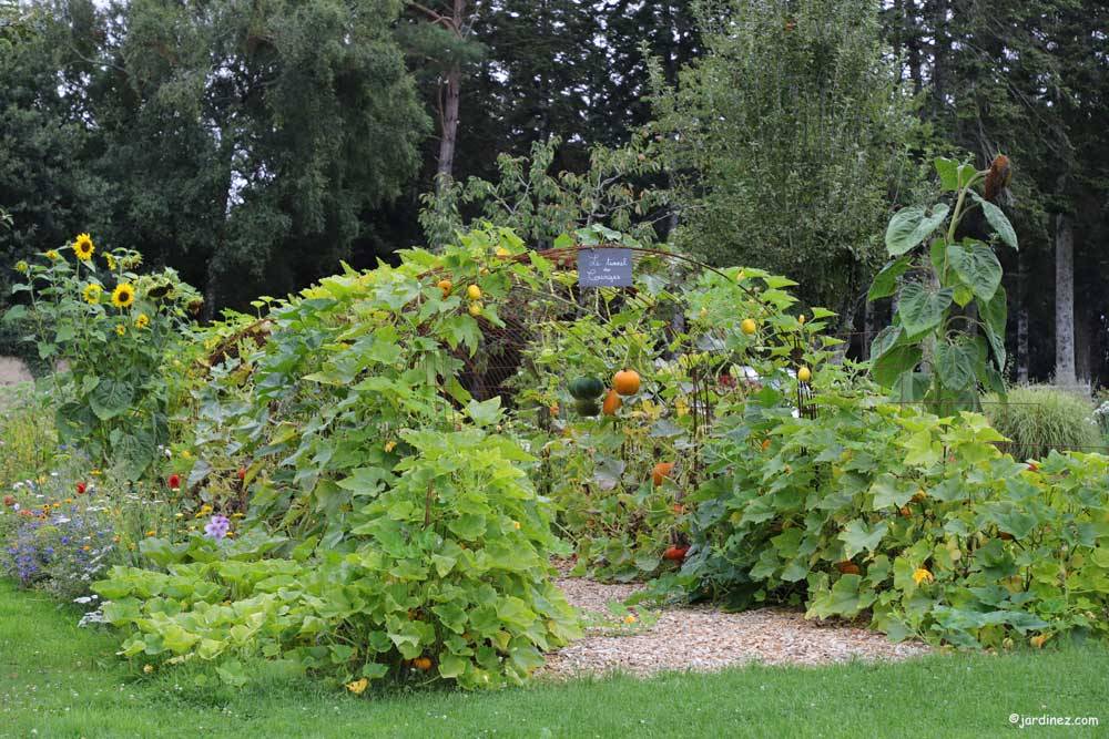 爱都（Ar Duen）菜园丨法国-8